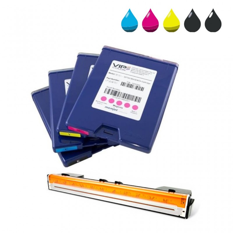 Consommables pour Imprimante d'étiquettes couleur VIP COLOR VP700
